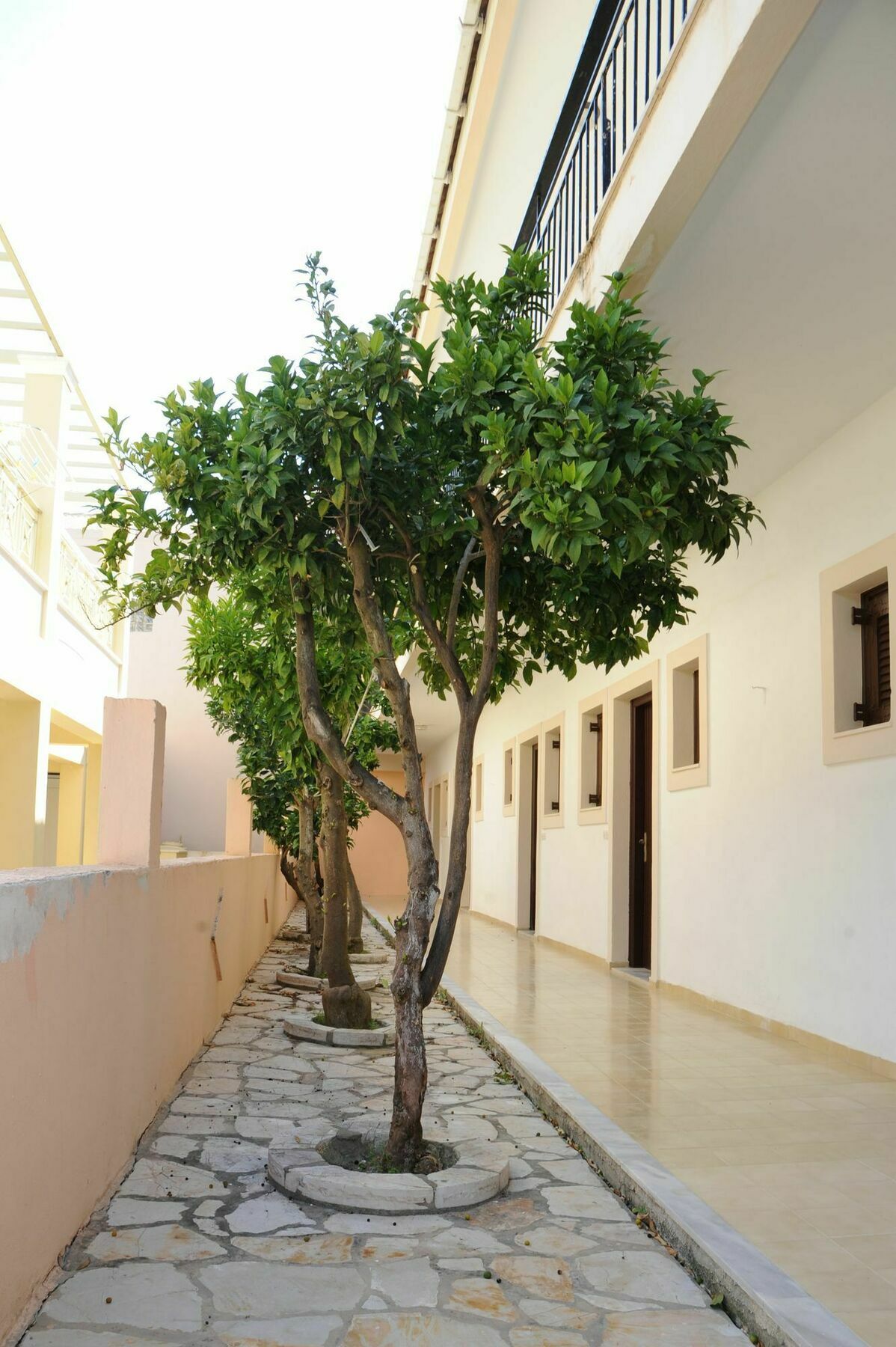 Three Seasons Apartment Kavos Exterior photo
